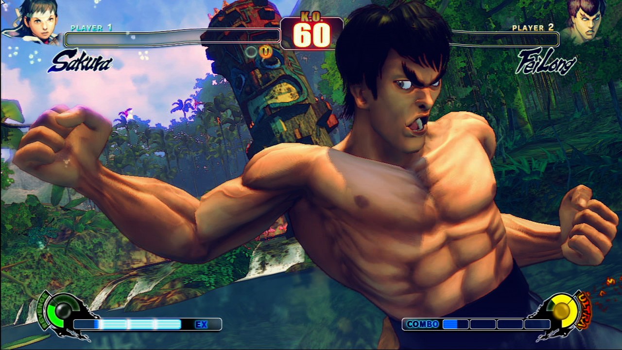 Immagine pubblicata in relazione al seguente contenuto: Capcom comunica i requisiti di sistema di Street Fighter IV | Nome immagine: news10433_1.jpg