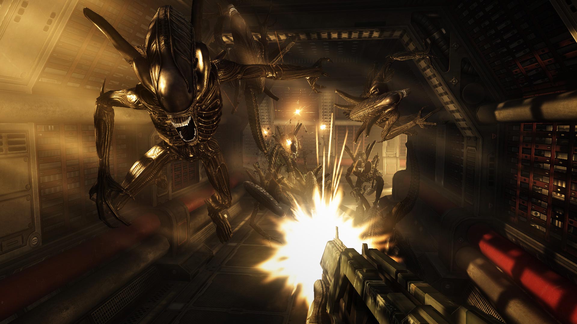 Immagine pubblicata in relazione al seguente contenuto: SEGA pubblica nuovi screenshot di Aliens vs. Predator | Nome immagine: news10579_2.jpg