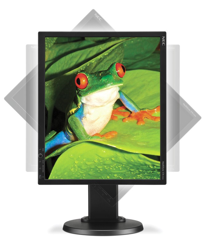 Immagine pubblicata in relazione al seguente contenuto: NEC annuncia il monitor LCD ecologico MultiSync EA190M | Nome immagine: news11340_2.jpg