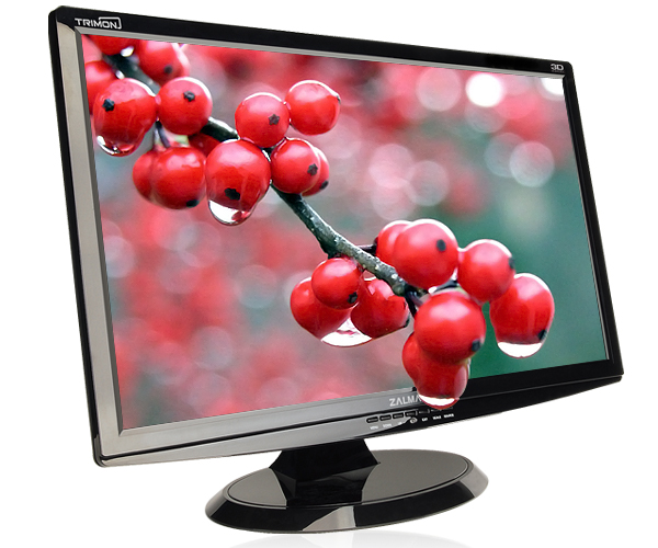 Immagine pubblicata in relazione al seguente contenuto: Zalman mostra il monitor 3D Full HD 24-inch Trimon ZM-M240W | Nome immagine: news13030_1.jpg