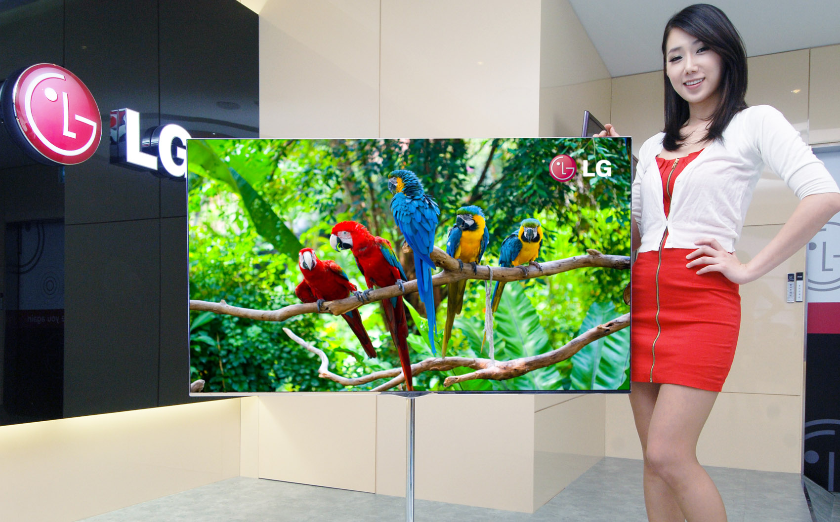 Immagine pubblicata in relazione al seguente contenuto: LG Electronics annuncia il pi grande OLED TV (55-inch) al mondo | Nome immagine: news16387_2.jpg