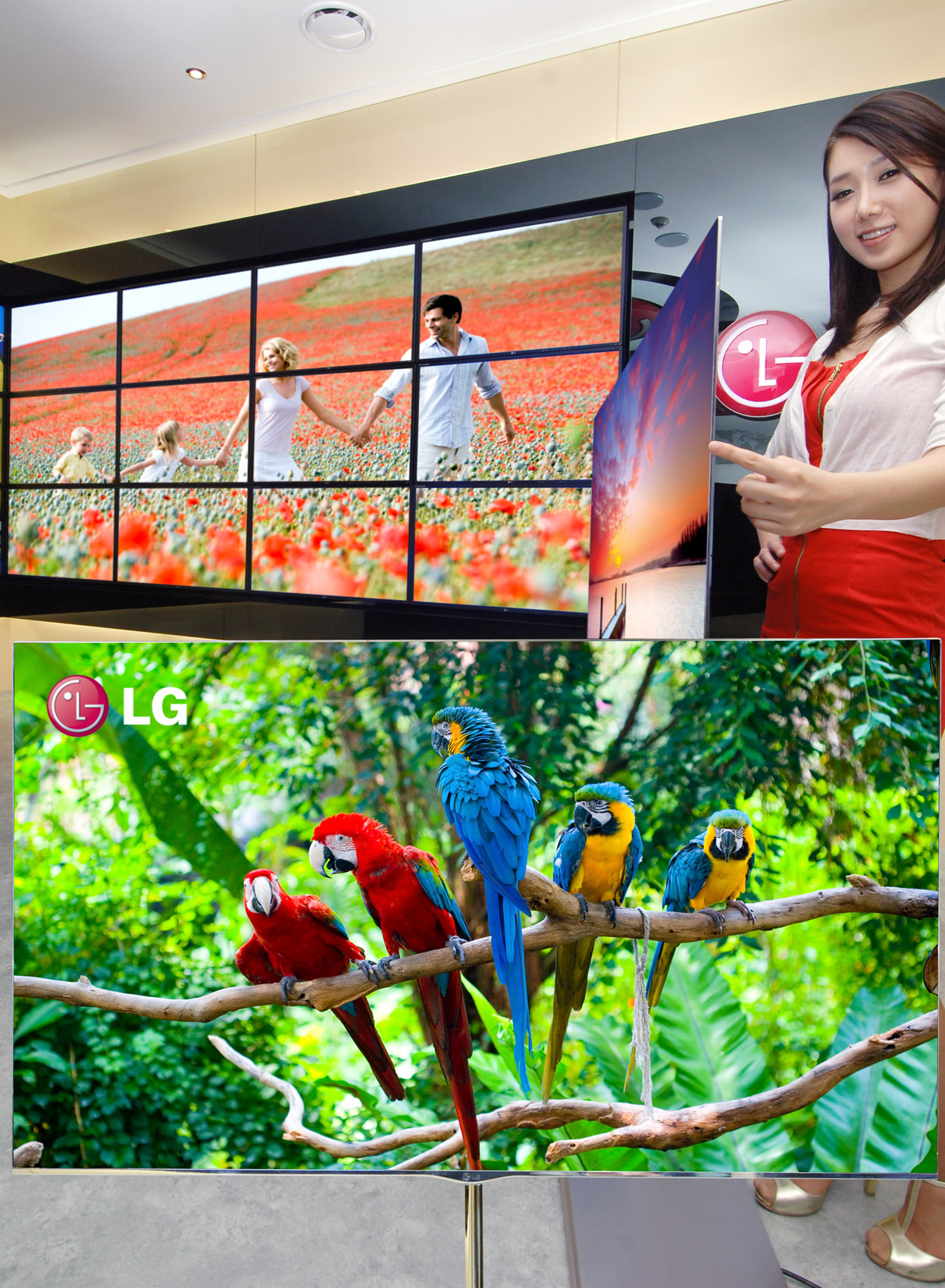 Immagine pubblicata in relazione al seguente contenuto: LG Electronics annuncia il pi grande OLED TV (55-inch) al mondo | Nome immagine: news16387_3.jpg