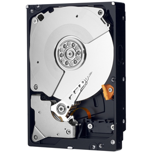 Immagine pubblicata in relazione al seguente contenuto: Western Digital introduce un hard drive della linea Black da 4TB | Nome immagine: news18442_Western-Digital-Black-HDD-4TB_1.jpg