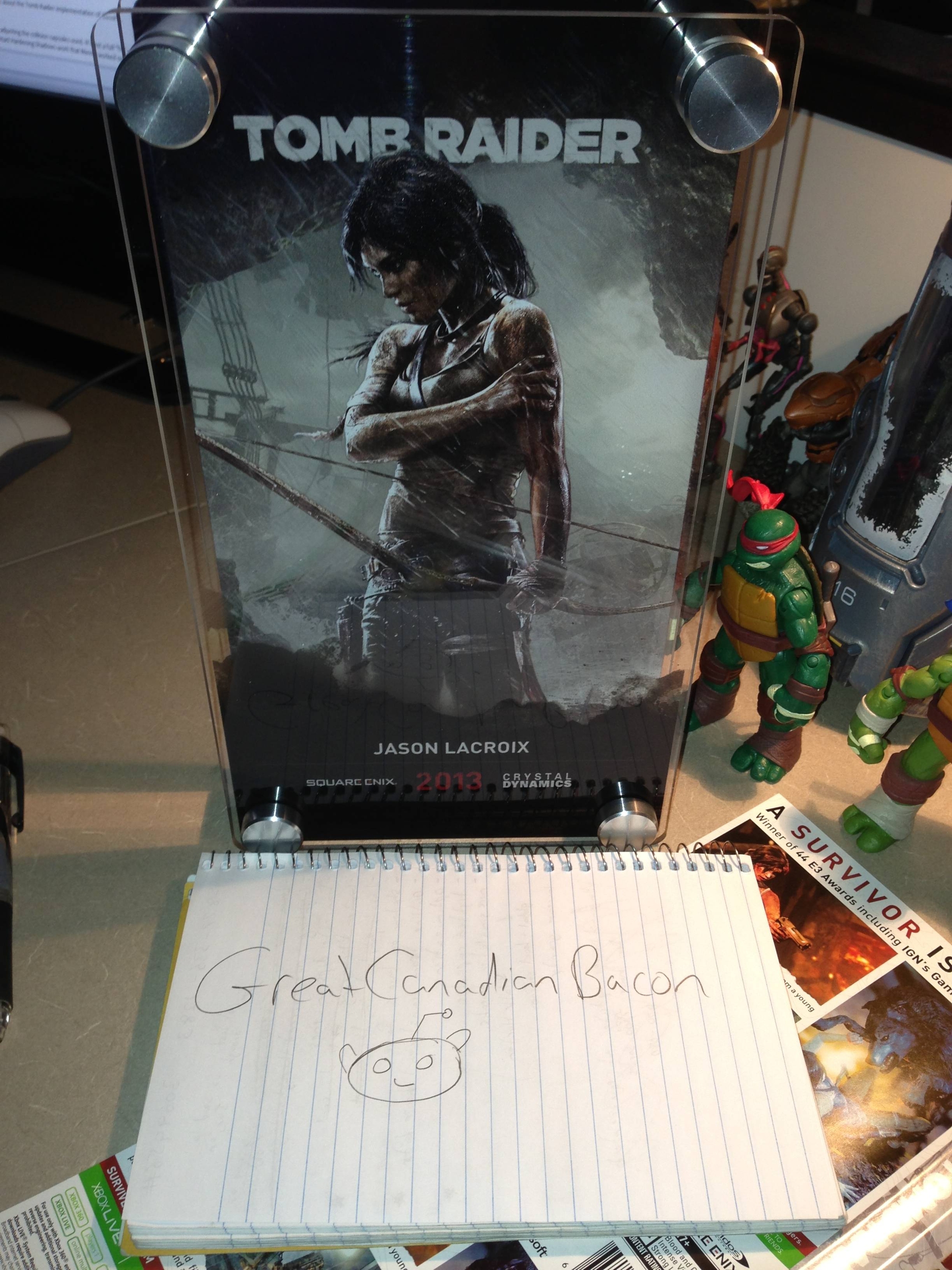 Immagine pubblicata in relazione al seguente contenuto: Crystal Dynamics: il primo update per Tomb Raider  su Steam | Nome immagine: news19110_Tomb-Raider-Tress-FX_1.jpg