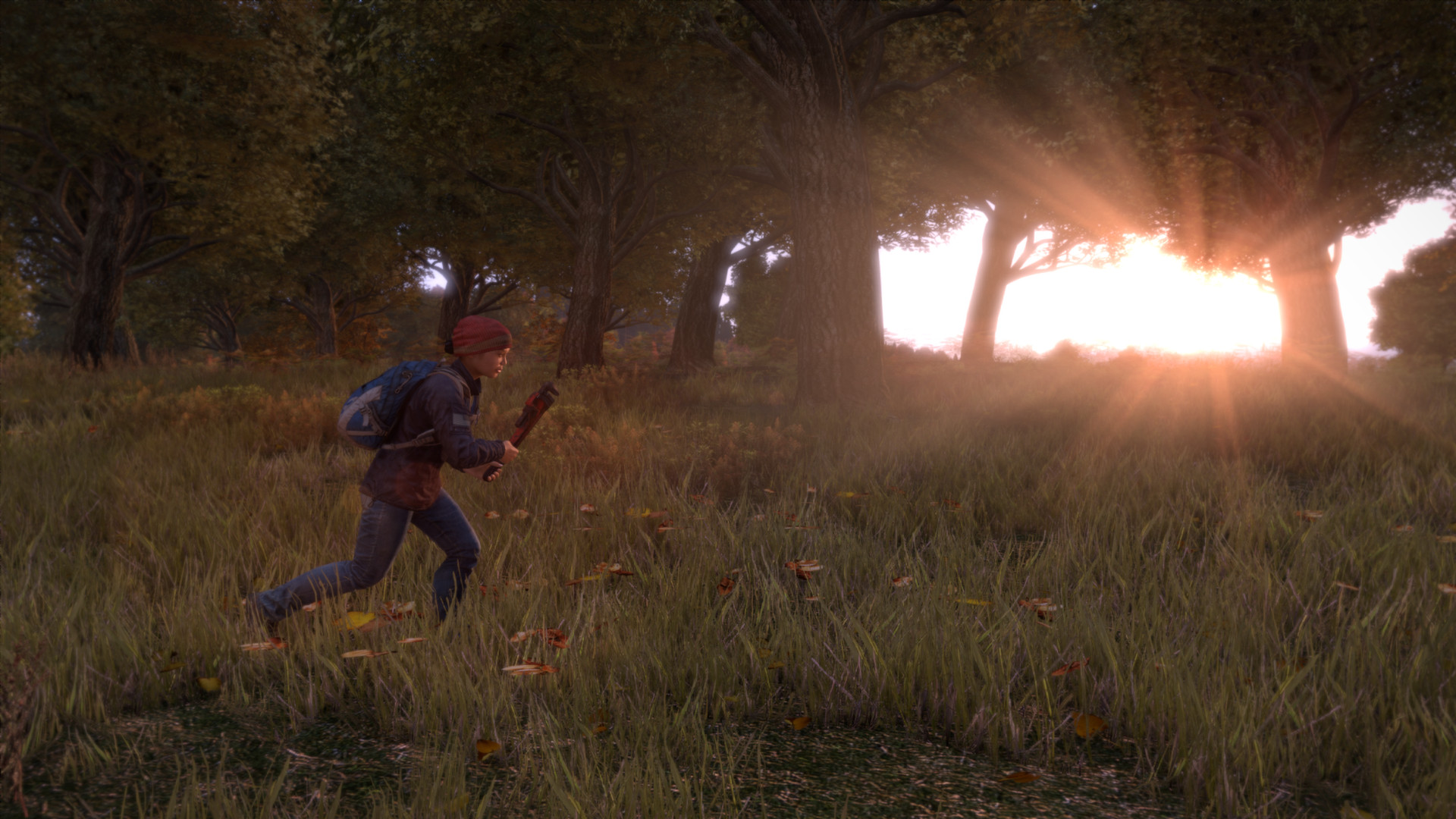 Immagine pubblicata in relazione al seguente contenuto: Quasi 800.000 copie vendute del game DayZ in meno di tre settimane | Nome immagine: news20578_DayZ-screenshot_5.jpg
