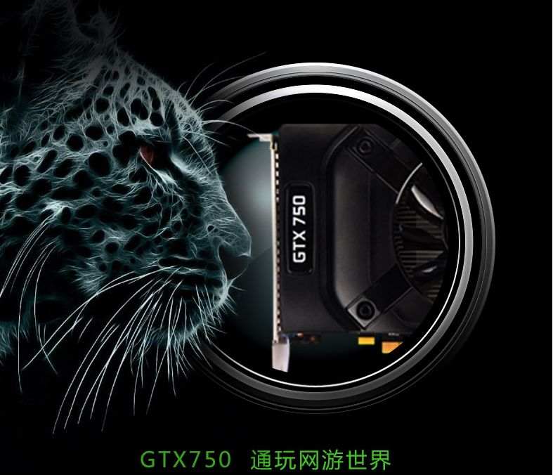 Immagine pubblicata in relazione al seguente contenuto: Foto e specifiche della seconda Maxwell di NVIDIA, la GeForce GTX 750 | Nome immagine: news20700_NVIDIA-GeForce-GTX-750-Maxwell_3.png