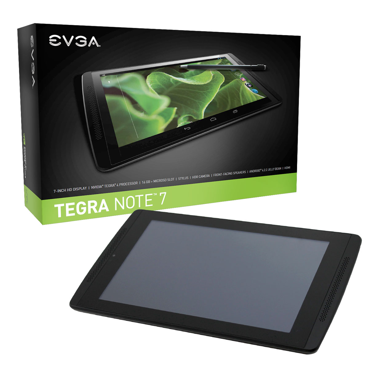 Media asset in full size related to 3dfxzone.it news item entitled as follows: EVGA introduce il tablet Tegra NOTE 7 nel mercato europeo | Image Name: news20970_EVGA-Tegra-NOTE-7_3.jpg