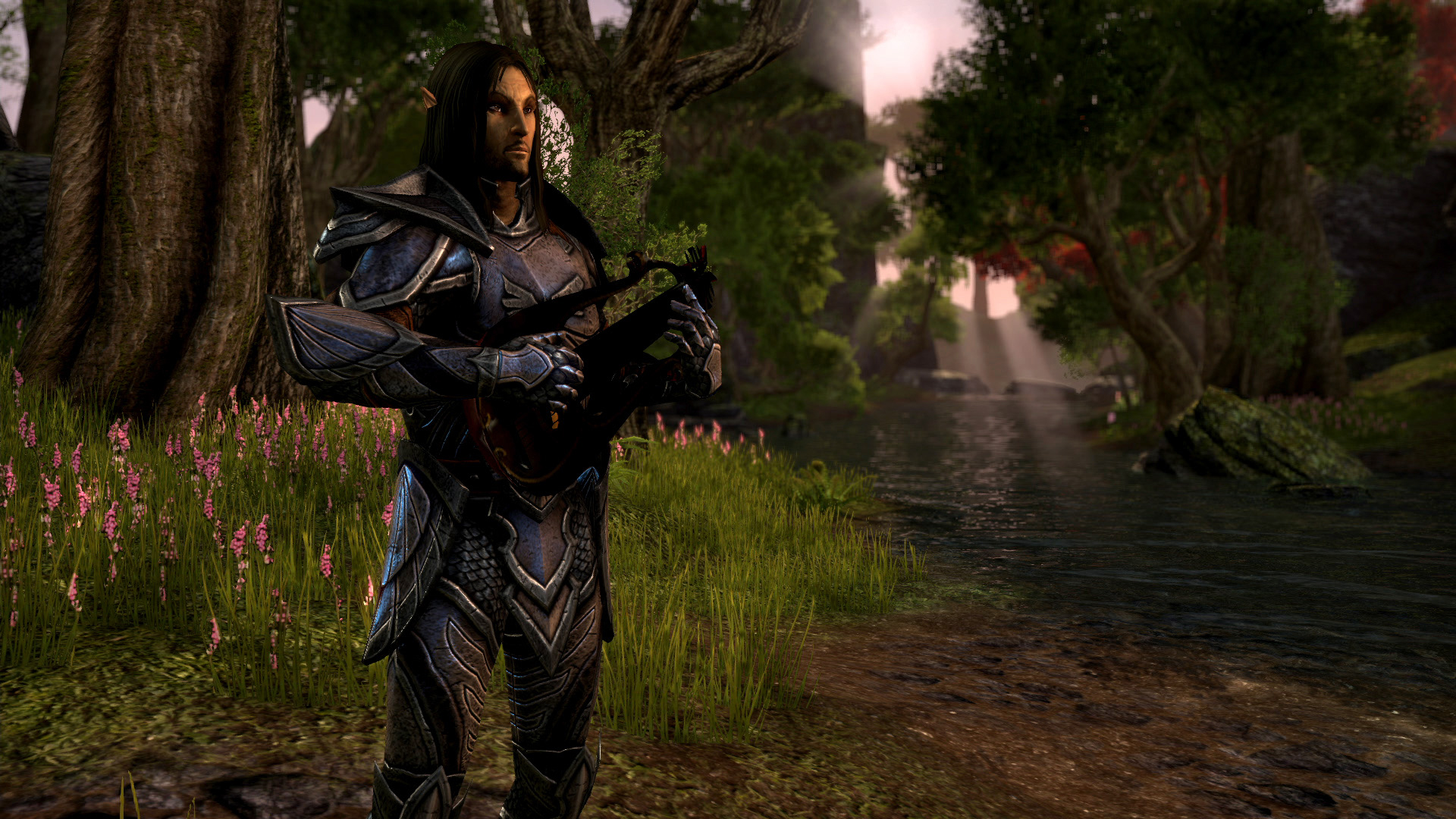 Immagine pubblicata in relazione al seguente contenuto: The Elder Scrolls Online, la patch v. 1.0.1 precede il lancio del game | Nome immagine: news20996_The-Elder-Scrolls-Online-screenshot_5.jpg