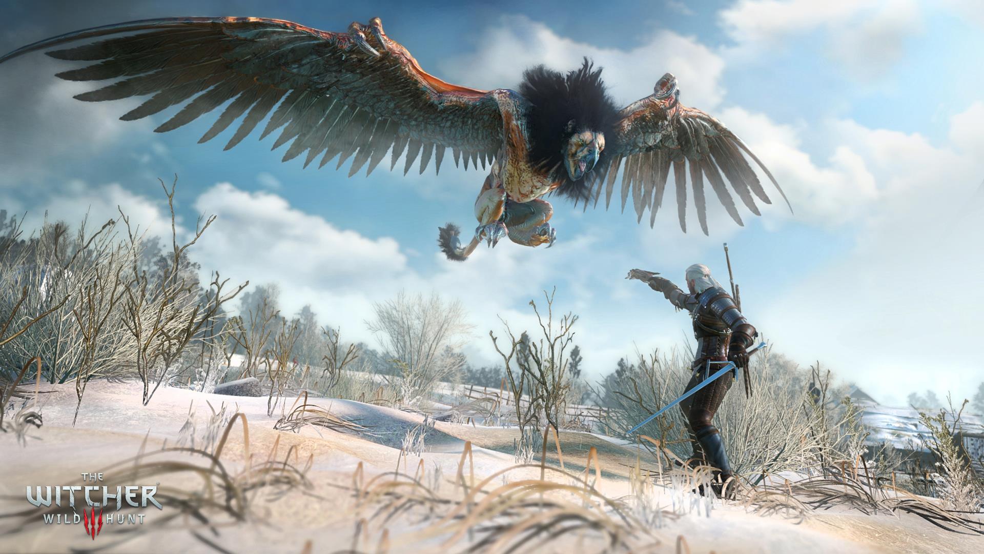 Immagine pubblicata in relazione al seguente contenuto: CD Projekt RED pubblica nuovi screenshot di The Witcher 3: Wild Hunt | Nome immagine: news21702_The-Witcher-3-Wild-Hunt-screenshot_1.jpg