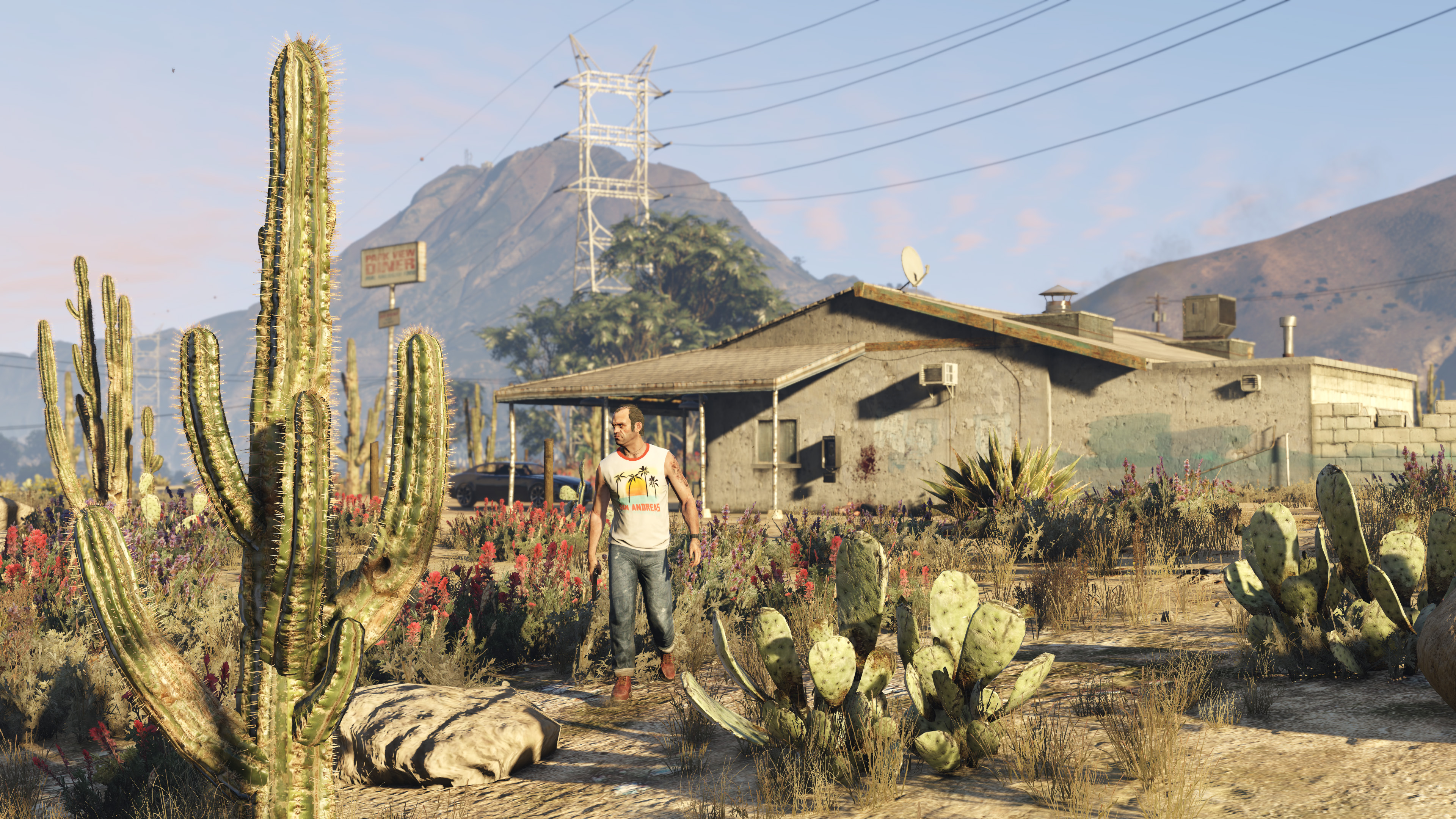 Immagine pubblicata in relazione al seguente contenuto: Gli screenshots in 4K e i requisiti di sistema di GTA 5 per PC | Nome immagine: news22392_GTA-5-screenshot-4K_1.jpg