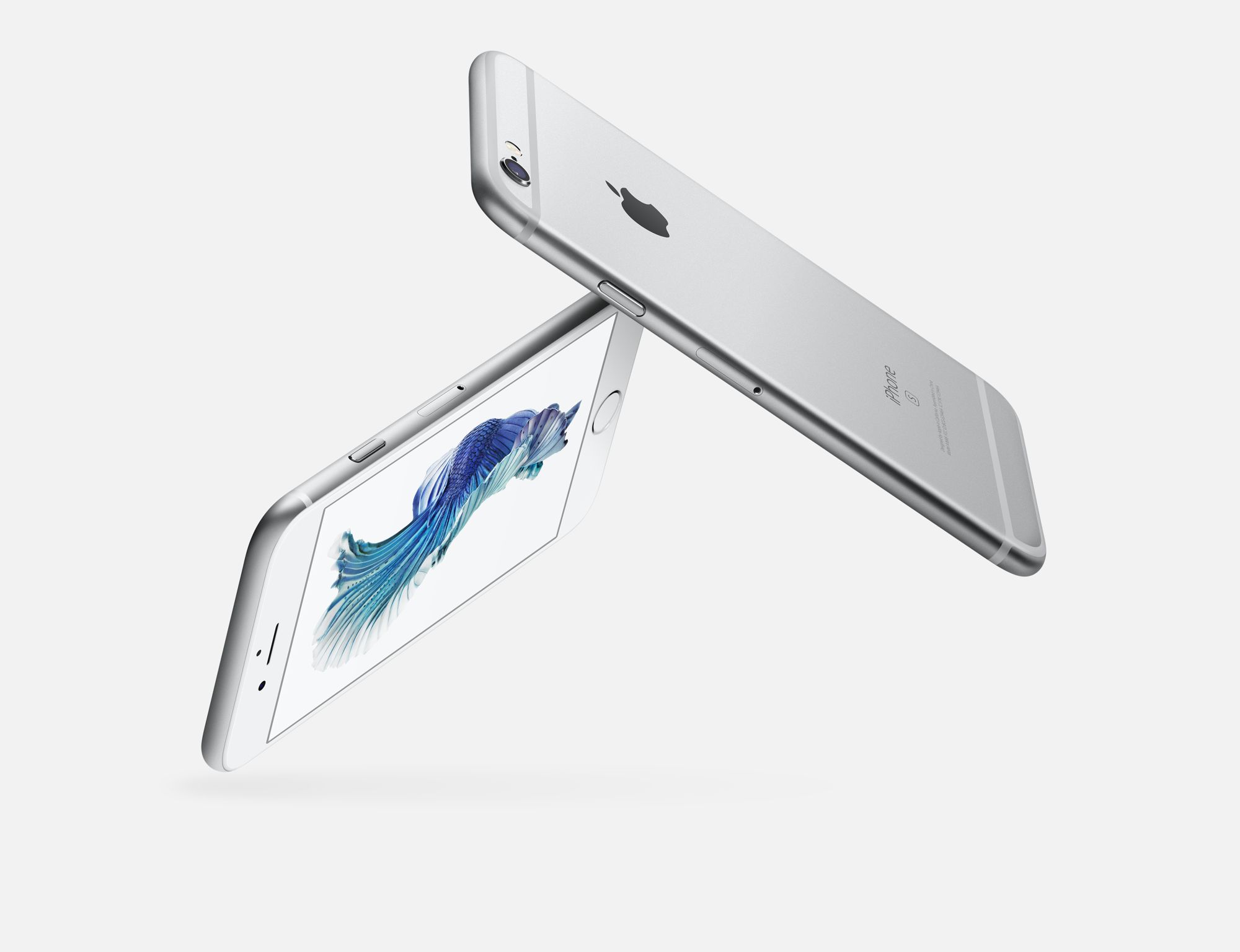 Media asset in full size related to 3dfxzone.it news item entitled as follows: Apple potrebbe lanciare un iPhone 7 Plus con memoria interna da 256GB | Image Name: news23584_Apple-iPhone-6s_1.jpg