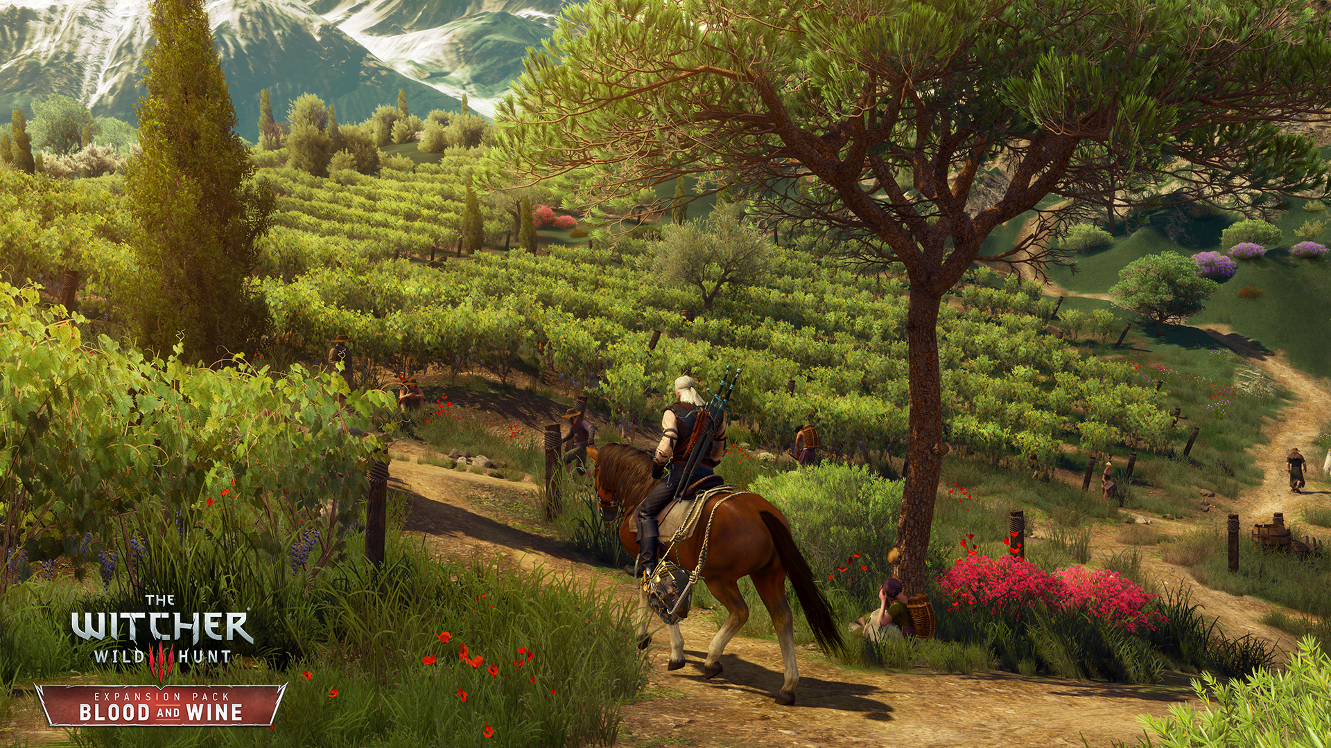 Media asset in full size related to 3dfxzone.it news item entitled as follows: Nuovi screenshot del DLC Blood and Wine di The Witcher 3: Wild Hunt | Image Name: news24302_The-Witcher-3-Wild-Hunt-Blood-and-Wine-Screenshot_5.png