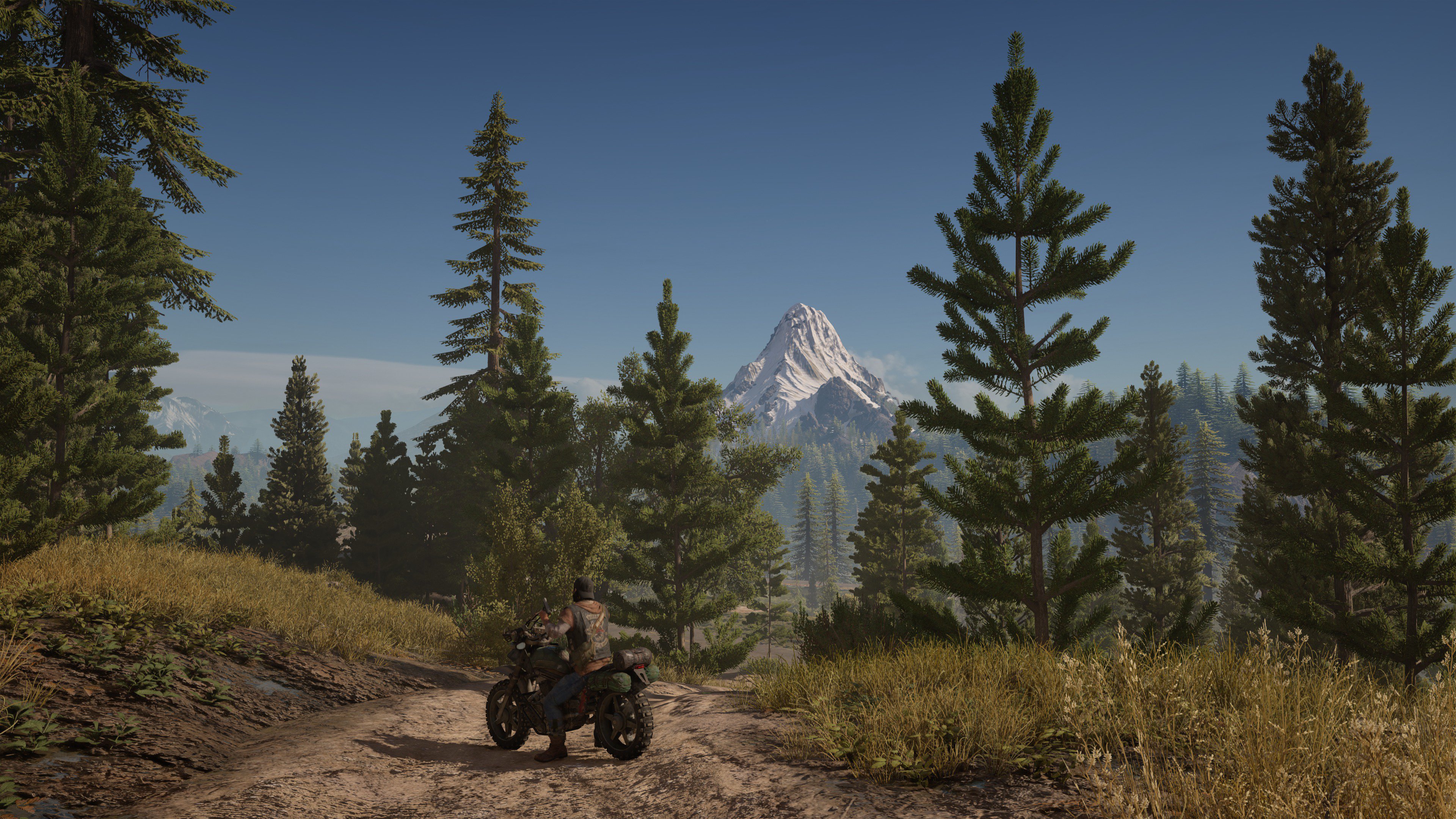 Media asset in full size related to 3dfxzone.it news item entitled as follows: Bend Studio pubblica gli screenshots in 4K del Days Gone su PS4 Pro | Image Name: news24912_Days-Gone-Screenshots-4K-PS4-Pro_2.jpg