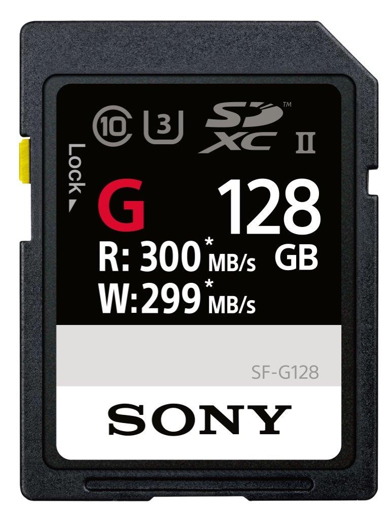 Immagine pubblicata in relazione al seguente contenuto: Sony annuncia le memory card SF-G definendole come le SD pi veloci al mondo | Nome immagine: news25876_Sony-SF-G_1.jpg