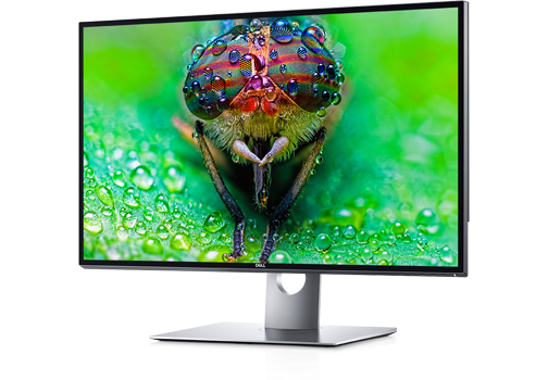 Immagine pubblicata in relazione al seguente contenuto: DELL commercializza il monitor 8K UltraSharp UP3218K: specifiche e prezzo | Nome immagine: news26045_DELL-UltraSharp-UP3218K_1.png
