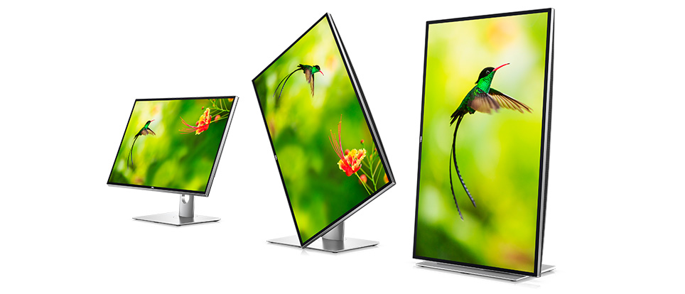 Immagine pubblicata in relazione al seguente contenuto: DELL commercializza il monitor 8K UltraSharp UP3218K: specifiche e prezzo | Nome immagine: news26045_DELL-UltraSharp-UP3218K_3.png