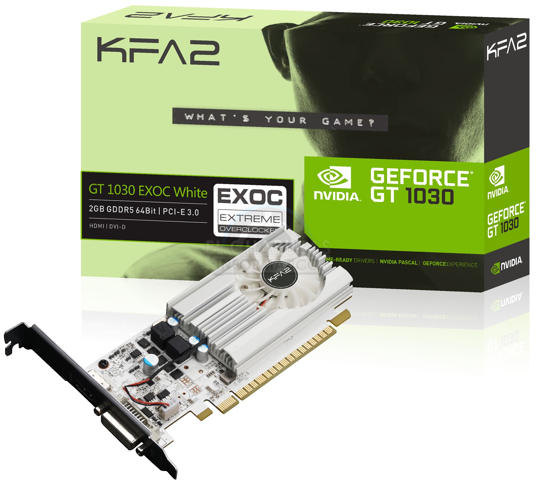 Immagine pubblicata in relazione al seguente contenuto: Foto e specifiche della video card GeForce GT 1030 EXOC White di KFA2 | Nome immagine: news26246_KFA2-GeForce-GT-1030-EXOC-White_1.jpg