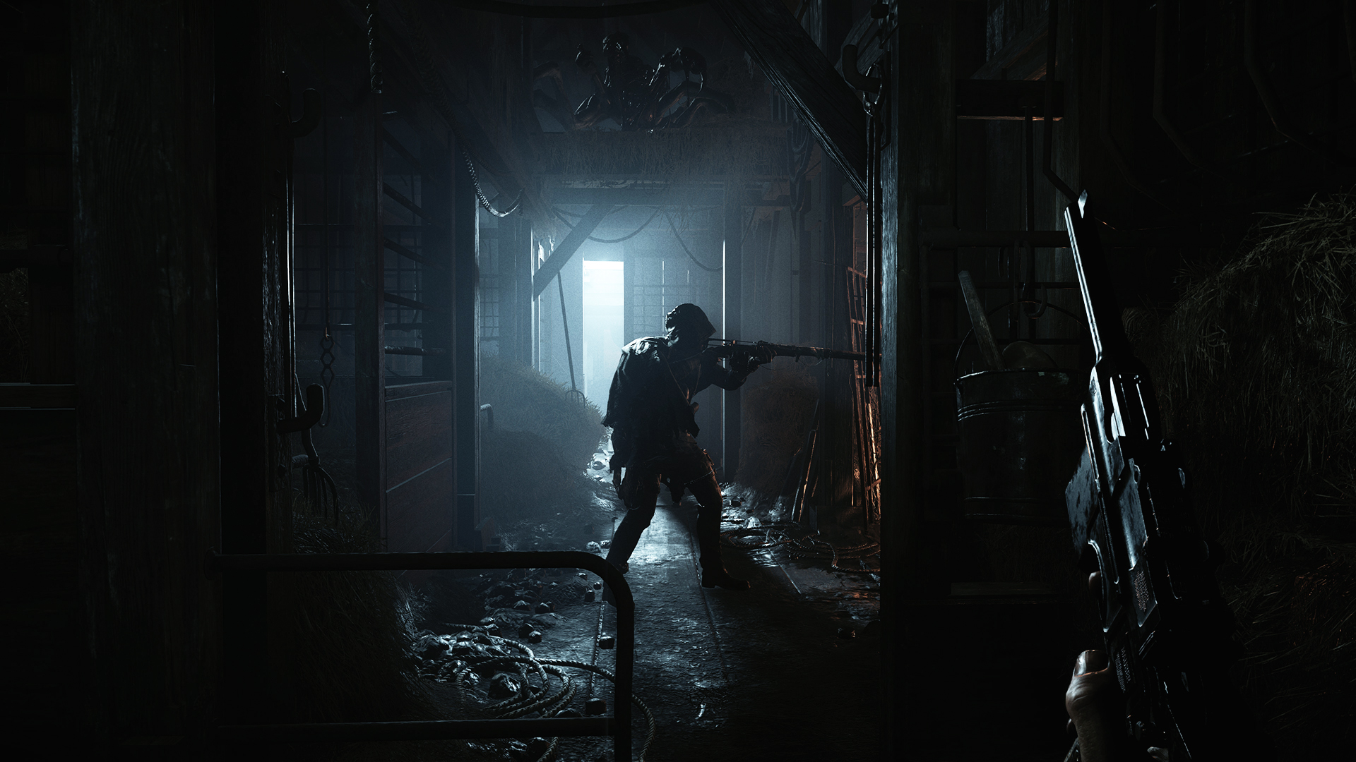 Media asset in full size related to 3dfxzone.it news item entitled as follows: Crytek pubblica un gameplay trailer dello shooter horror Hunt: Showdown | Image Name: news27206_Hunt-Showdown-Screenshot_6.jpg