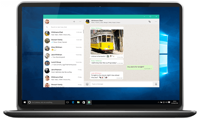 Immagine pubblicata in relazione al seguente contenuto: Utilizza WhatsApp su desktop e notebook con WhatsApp per Windows 0.2.7315 | Nome immagine: news27645_WhatsApp-per-Windows-Screenshot_1.png