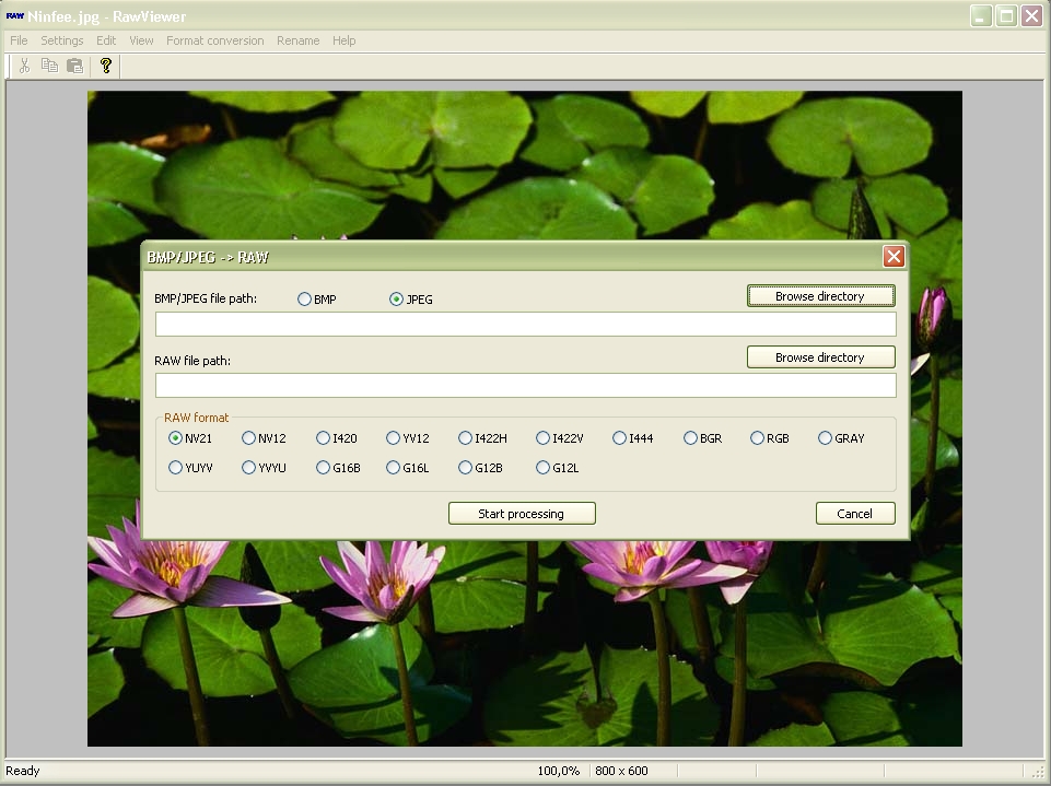 Immagine pubblicata in relazione al seguente contenuto: RawViewer 1.8.3 visualizza i file immagine RAW e li converte in BMP o JPEG | Nome immagine: news28371_RawViewer-Screenshot_1.jpg
