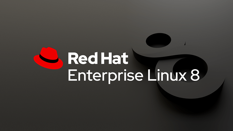 Immagine pubblicata in relazione al seguente contenuto: Red Hat annuncia il rilascio della distribuzione Red Hat Enterprise Linux 8.0 | Nome immagine: news29561_Red-Hat-Enterprise-Linux-8.0_1.png