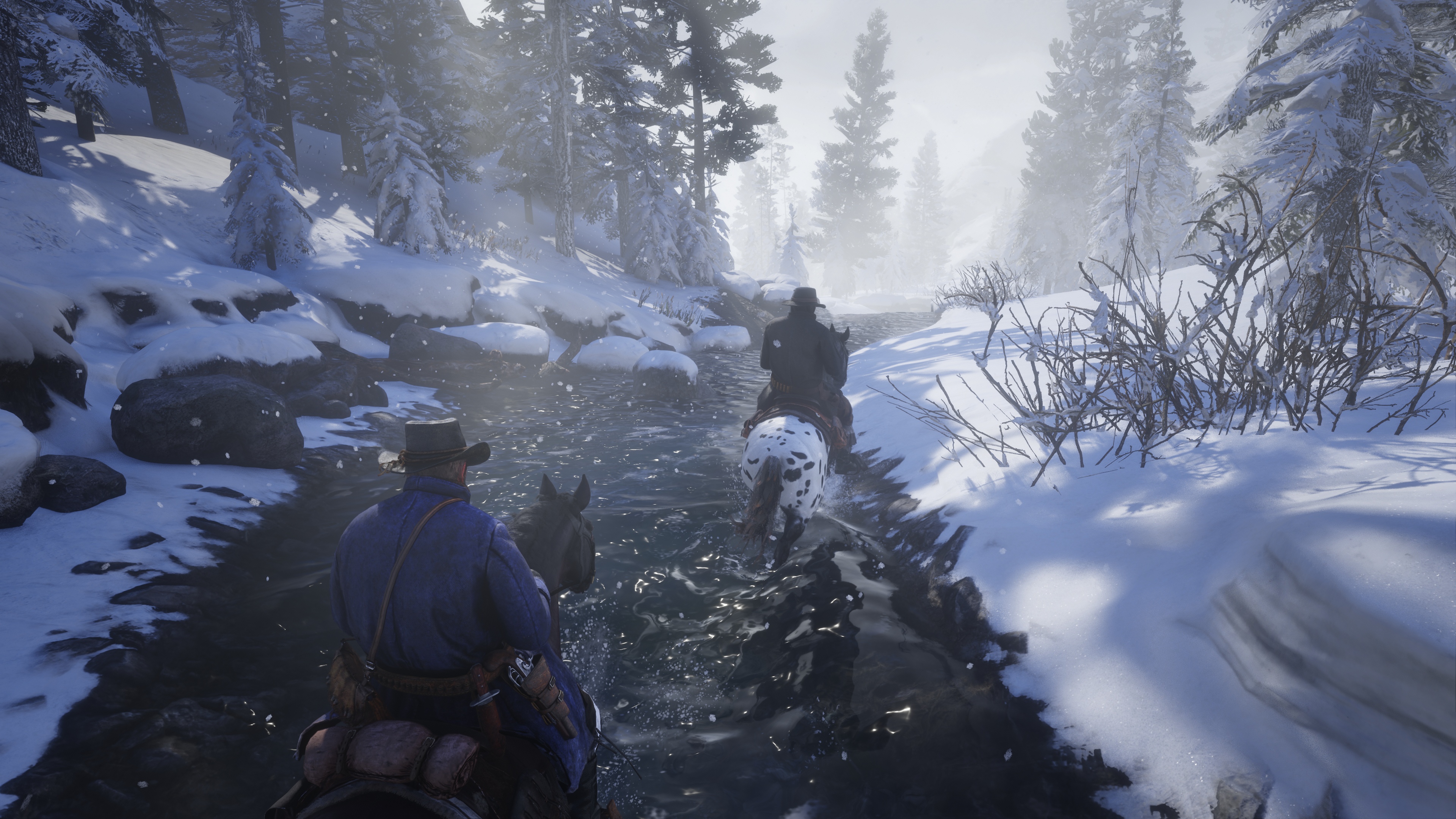 Immagine pubblicata in relazione al seguente contenuto: Gli screenshots di Red Dead Redemption 2 per PC in 4K con dettagli su Ultra | Nome immagine: news30160_Red-Dead-Redemption-2-Screenshot-4K_3.jpg