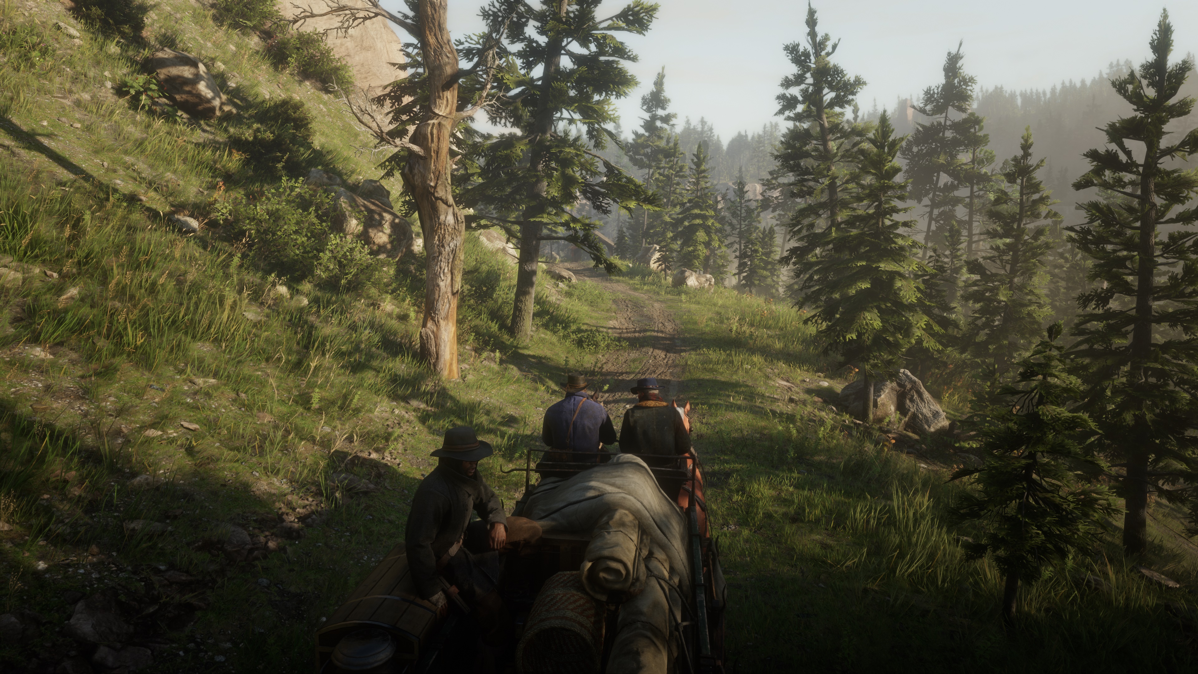 Media asset in full size related to 3dfxzone.it news item entitled as follows: Gli screenshots di Red Dead Redemption 2 per PC in 4K con dettagli su Ultra | Image Name: news30160_Red-Dead-Redemption-2-Screenshot-4K_6.jpg