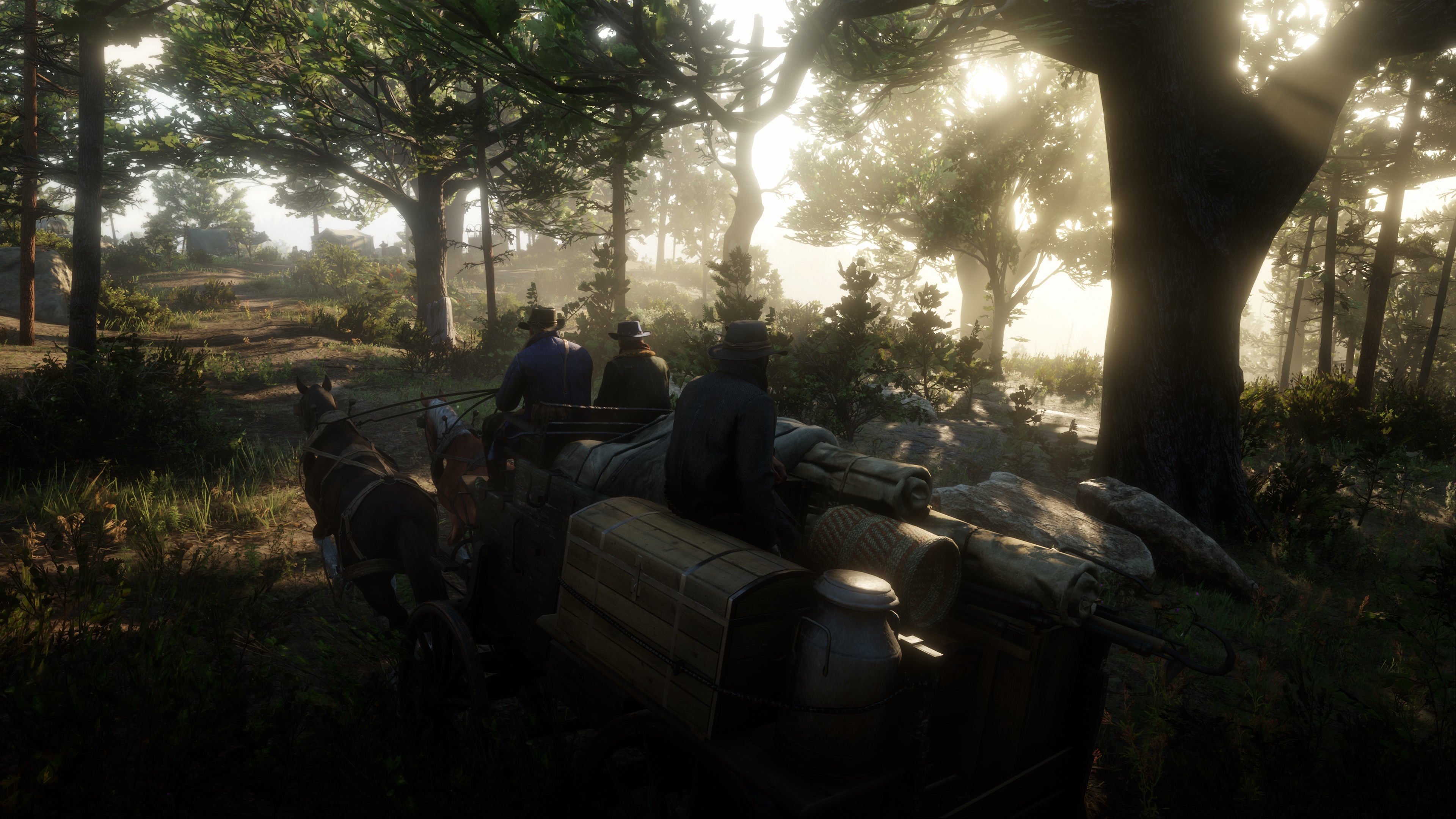 Media asset in full size related to 3dfxzone.it news item entitled as follows: Gli screenshots di Red Dead Redemption 2 per PC in 4K con dettagli su Ultra | Image Name: news30160_Red-Dead-Redemption-2-Screenshot-4K_7.jpg