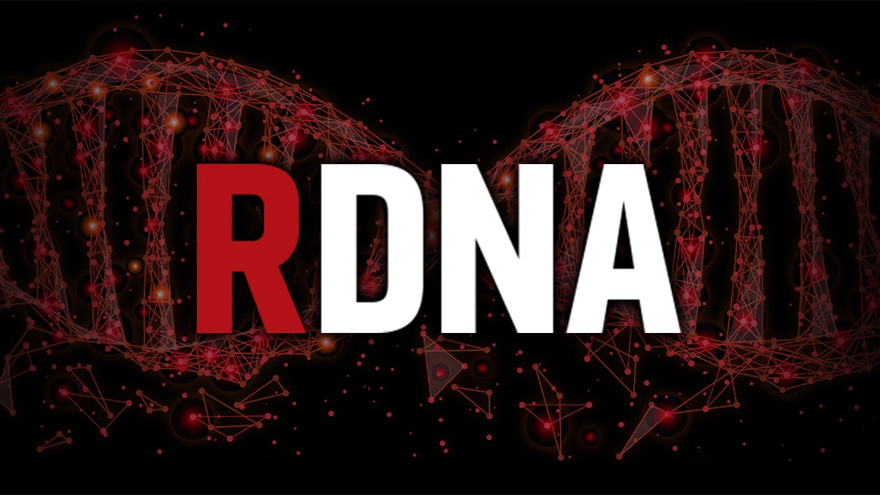 Immagine pubblicata in relazione al seguente contenuto: AMD lancia la video card per workstation Radeon Pro W5700 8GB GDDR6 | Nome immagine: news30191_AMD-Radeon-Pro-W5700_2.jpg