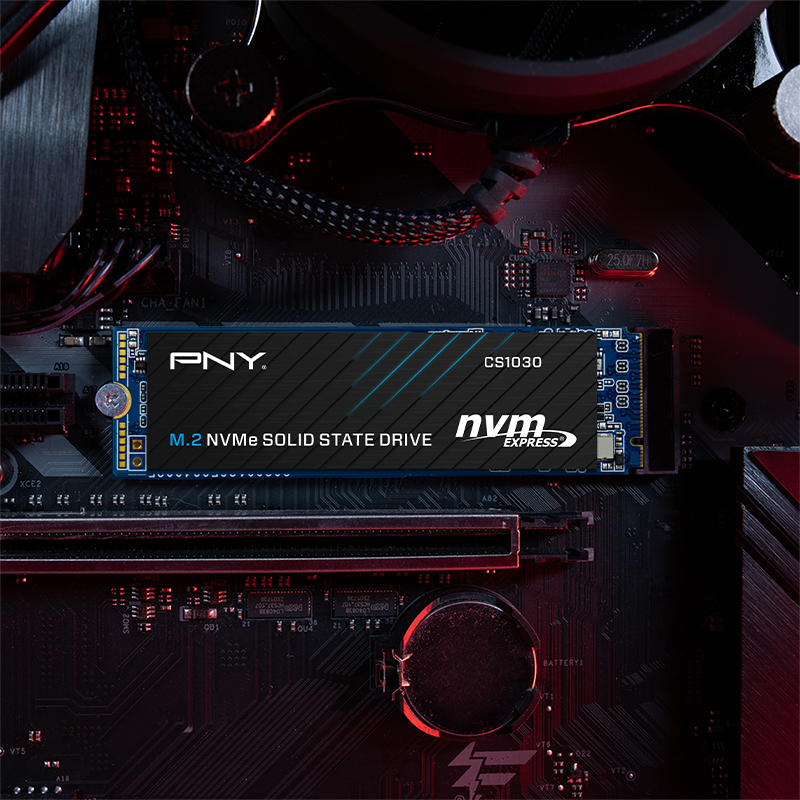 Immagine pubblicata in relazione al seguente contenuto: PNY introduce la linea di SSD NVMe M.2 CS1030 con capacit fino a 2TB | Nome immagine: news31680_PNY-CS1030_2.png