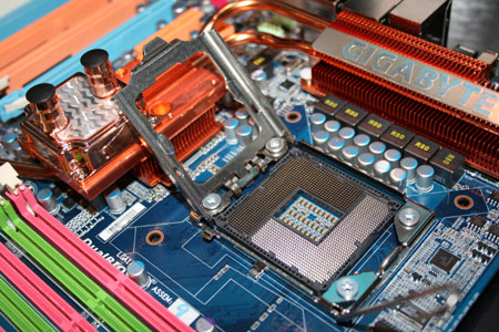 Immagine pubblicata in relazione al seguente contenuto: Native Specialist 1.0.0828 RC3 supporta le cpu AMD Athlon Neo | Nome immagine: news8414_3.jpg
