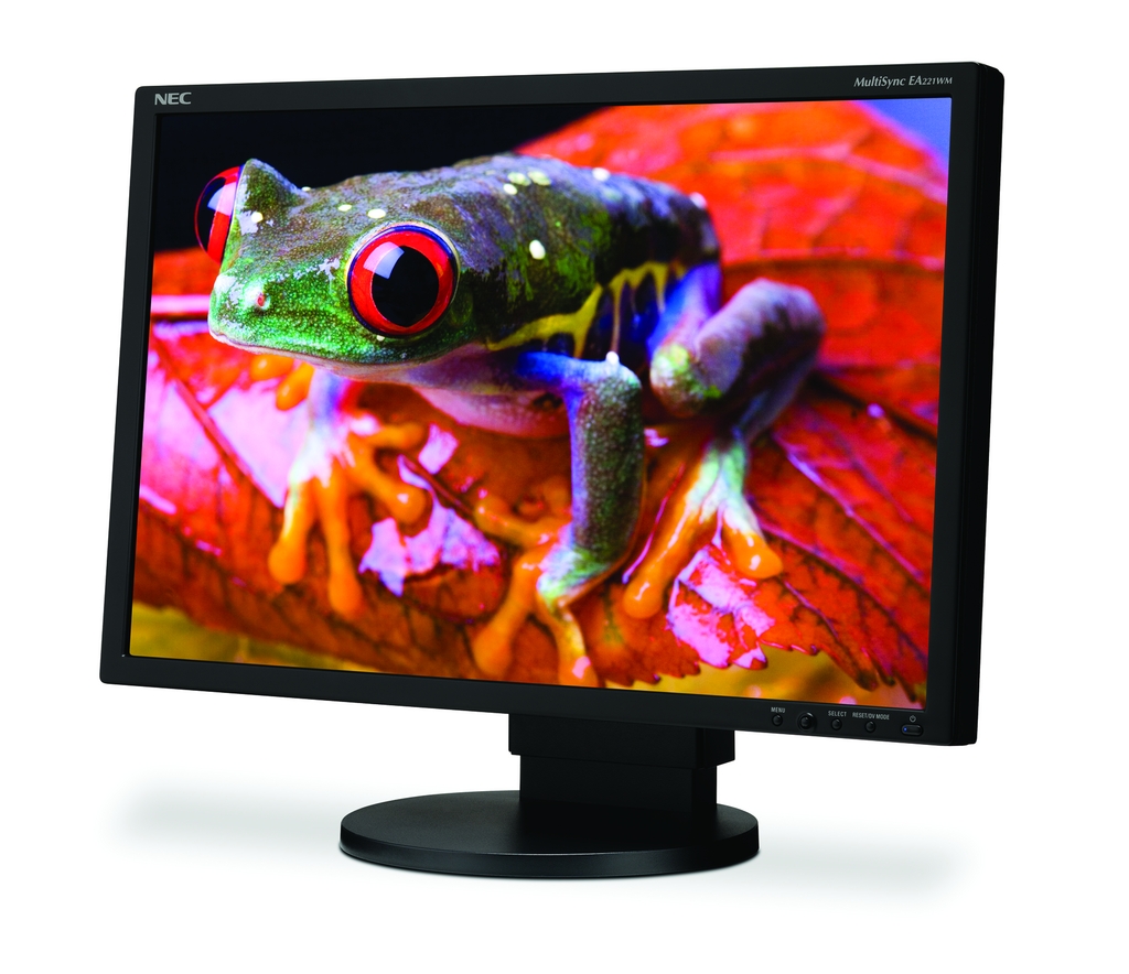 Immagine pubblicata in relazione al seguente contenuto: NEC lancia il monitor LCD widescreen MultiSync EA221WM | Nome immagine: news8525_1.jpg