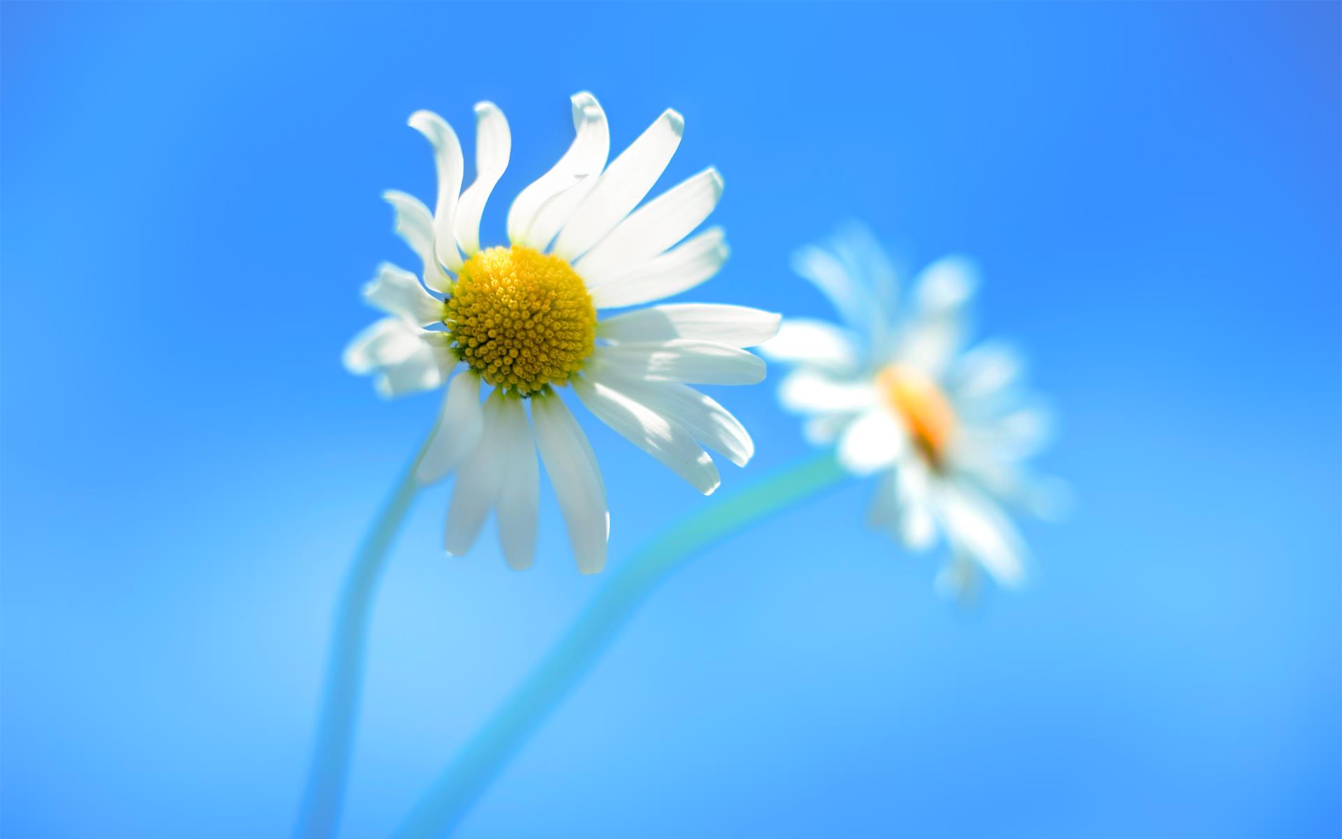 Risorsa grafica - foto, screenshot o immagine in genere - relativa ai contenuti pubblicati da atizone.it | Nome immagine: windows-8-wallpaper.jpg