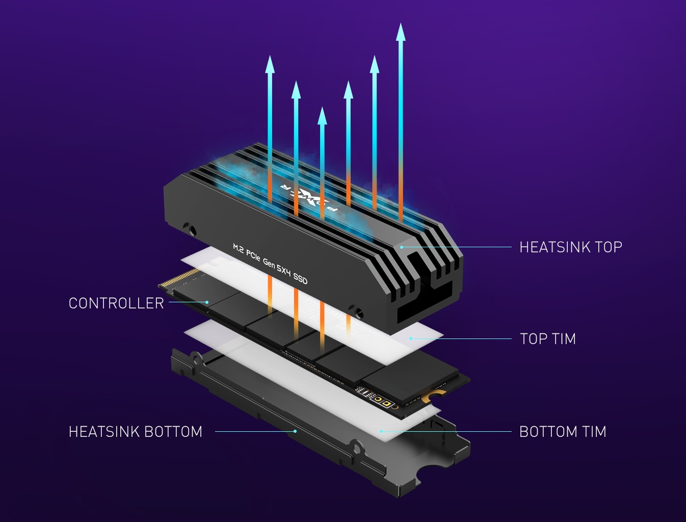Immagine pubblicata in relazione al seguente contenuto: Silicon Power presenta gli SSD PCIe 5.0 XPower XS80 con velocit fino a 10GB/s | Nome immagine: news34912_Silicon-Power_XPower-XS80_SSD_3.jpg