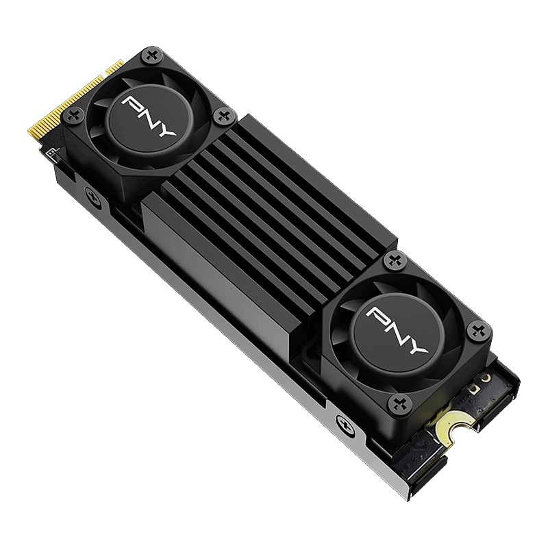 Immagine pubblicata in relazione al seguente contenuto: PNY annuncia gli SSD NVMe M.2 PCIe Gen 5 x4 CS3150 per gamer e creator | Nome immagine: news35019_PNY-CS3150_SSD_1.png