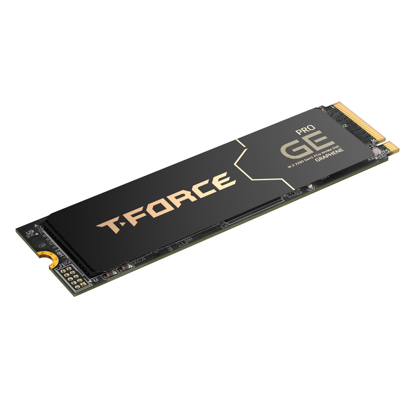 Immagine pubblicata in relazione al seguente contenuto: Team Group annuncia la linea di drive SSD NVMe M.2 PCIe 5.0 T-Force GE PRO | Nome immagine: news35252_Team-Group_T-Force-GE-PRO_2.jpg